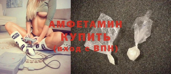 гидра Богданович