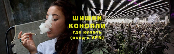 амф Бородино