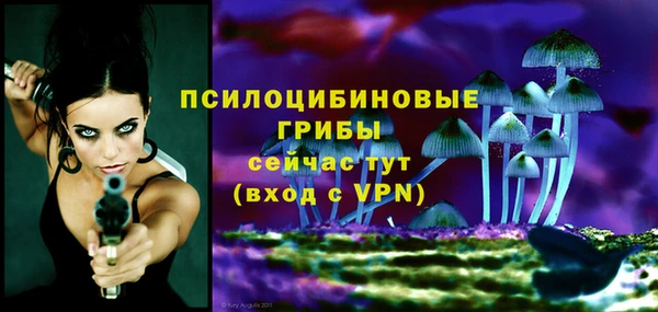 ALPHA-PVP Бугульма