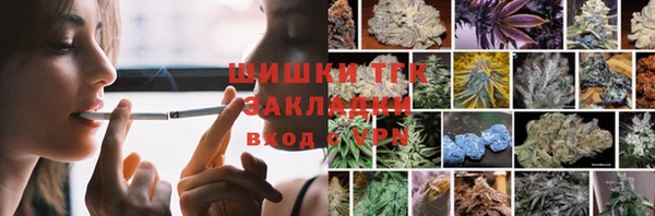 амф Бородино
